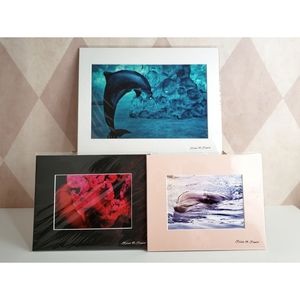 Aquatic Photography Prints